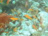 DSC00649