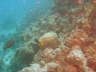 DSC00650
