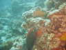 DSC00651