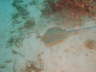 DSC00654
