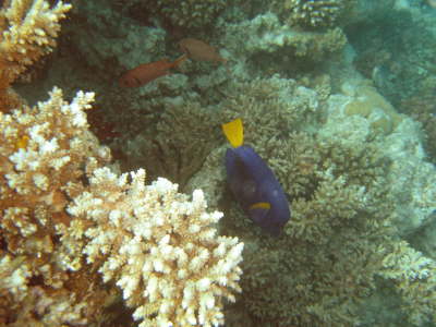 DSC00660