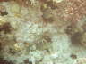 DSC00661