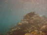 DSC00662