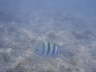 DSC01963