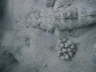 DSC01967