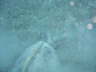 DSC01976