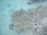 DSC01980