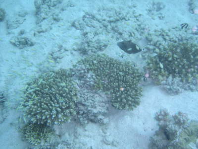 DSC01981