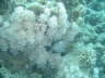 DSC01990