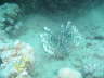 DSC01994