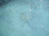 DSC01995