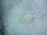 DSC01996