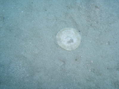DSC01997