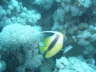 DSC01998
