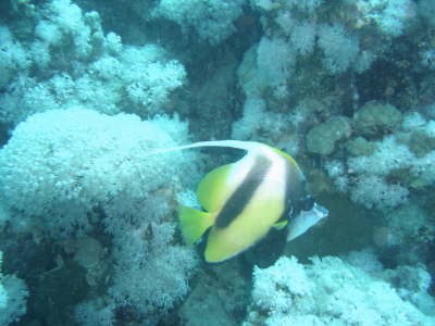 DSC01998