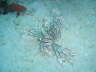DSC01999