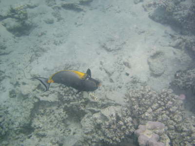 DSC02009