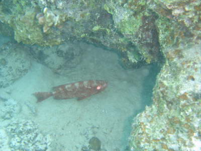 DSC02010