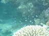 DSC02011