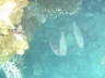 DSC02013