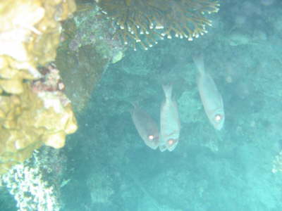 DSC02013