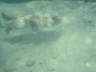 DSC02021