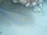 DSC02030