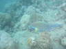 DSC02031