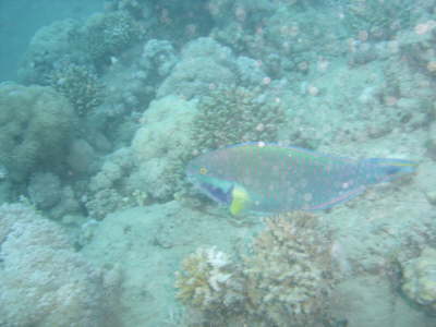 DSC02031