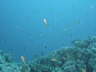 DSC02035