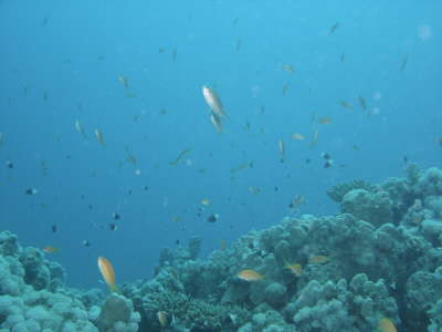 DSC02035