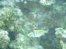 DSC02048