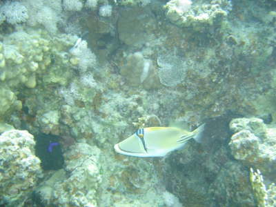 DSC02048