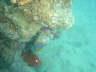 DSC02050
