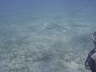 DSC02060