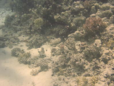 DSC02077
