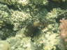 DSC02079