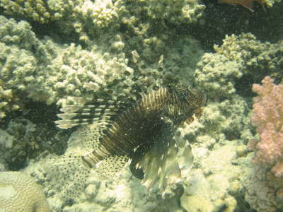 DSC02079