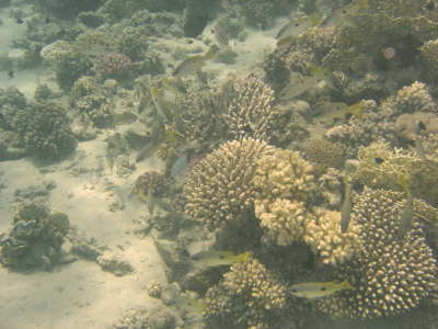 DSC02082