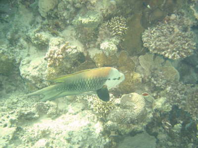 DSC02086