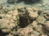 DSC02087