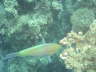 DSC02090