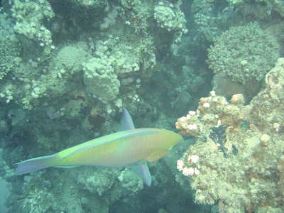 DSC02090