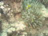 DSC02091