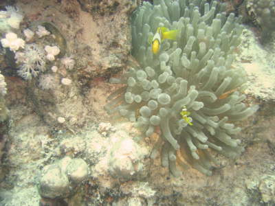 DSC02091