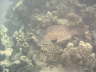 DSC02093