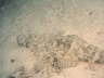 DSC02095