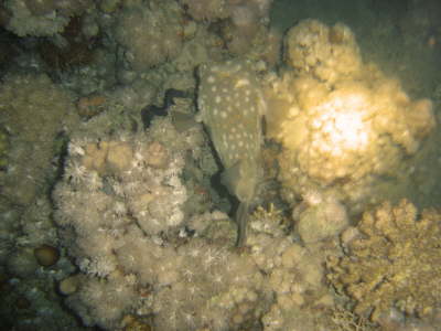 DSC02099