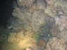 DSC02107