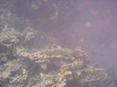DSC02114